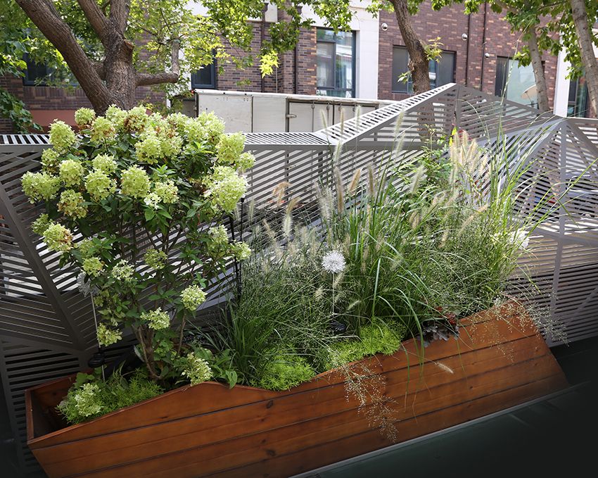 祥云小镇