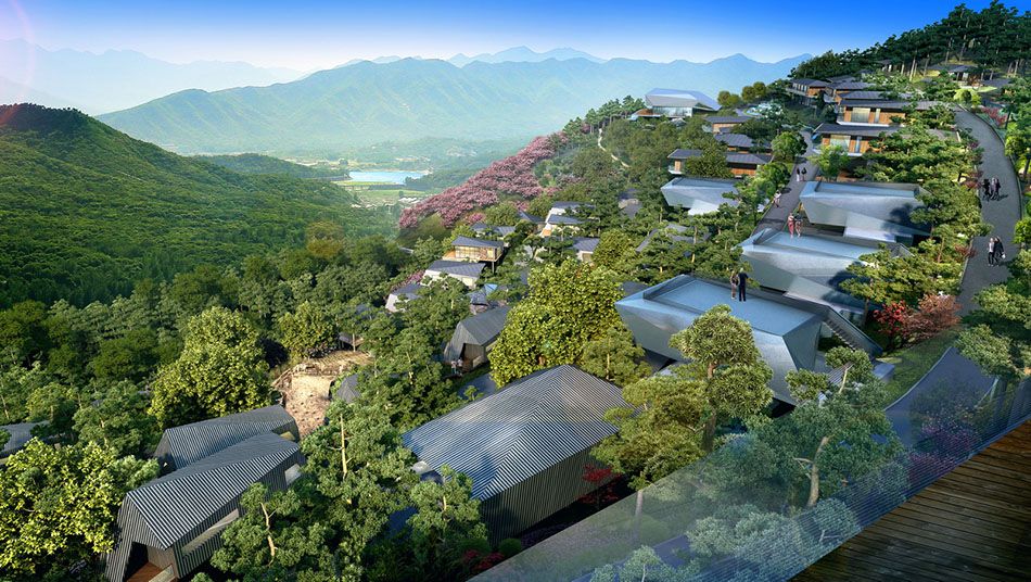 泰山公社